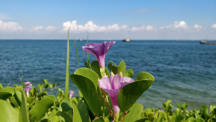 IMG_20170819_095357 IMG_20170819_095357