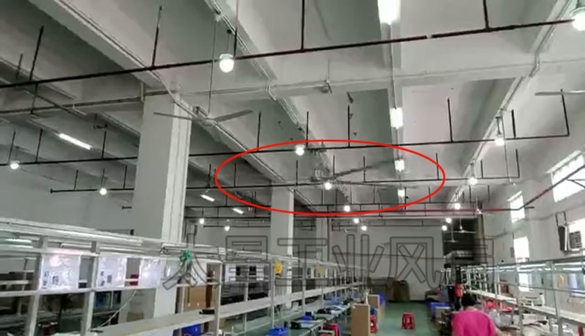 工業(yè)大風(fēng)扇 工業(yè)大風(fēng)扇